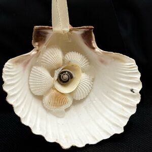 Decorative Seashell Ornament with flower in center